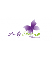 Andy Jhois 