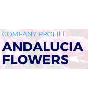 Andalucia Flowers