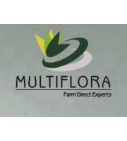 Multiflora